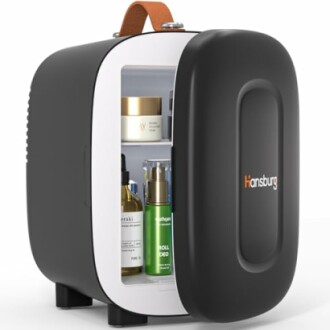 Hansburg Mini Fridge